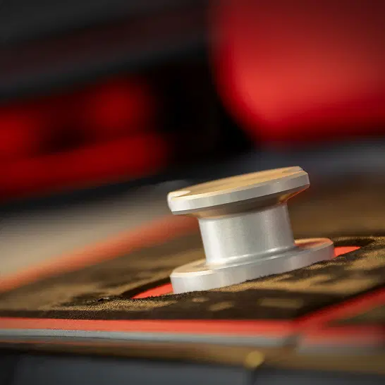 Pop-Up Ski Pylon (Standard)